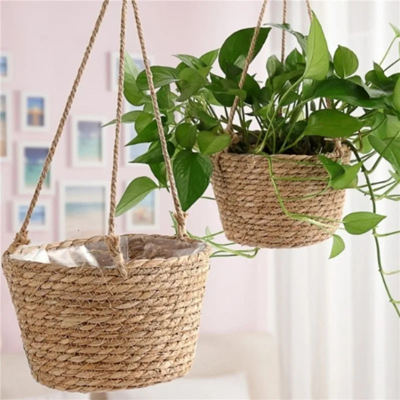 Meadowline Hanging Basket